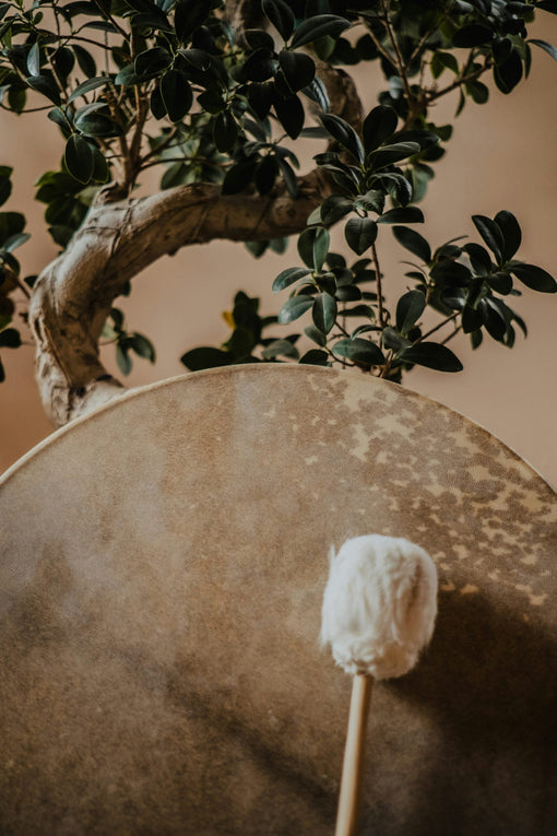 The Fascinating Shamanic Philosophy that Inspired My Healing Journey