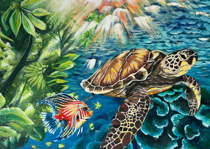 From the Forest to the Ocean